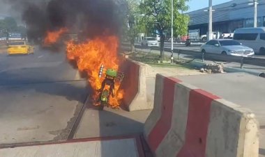 ระทึก!ลุงวัย 67 ขี่รถจักรยานไฟฟ้าจะพานกแก้วไปบินที่วัดไฟลุกไหม้ ทิ้งรถกลางถนนอุ้มกรงนกหนีตาย