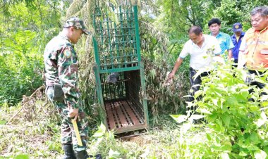 คนปราจีนบุรีผวาครอบหมีควายลงเขาใหญ่หวั่นถูกทำร้ายซ้ำรอยชาวบ้านเนินหอมเจ็บสาหัส