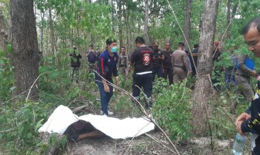 เศร้าสลด! ป้าเข้าป่าหาเห็ดโชคร้ายเจอช้างไล่เหยียบดับชายป่าห้วยขาแข้งสังเวยศพที่ 2