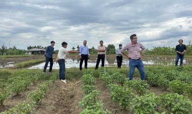 ซีพีเอฟ ผนึกกำลังองค์กร SMEs PLUS ขยายโอกาสคู่ค้าโตยั่งยืน หนุนการจัดหาที่รับผิดชอบตามหลัก ESG