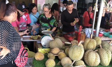 มาเป็นรถบัสนักท่องเที่ยวชาวมาเลเซียและสิงคโปร์ เข้าเบตงช่วงสุดสัปดาห์แห่กินทุเรียนเบตง กันอย่างคึกคัก