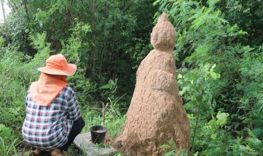 คอหวยไม่พลาด!แห่กราบไหว้ขอเลขเด็ดจอมปลวกประหลาดรูปทรงคล้ายพระพุทธรูปปางอุ้มบาตร