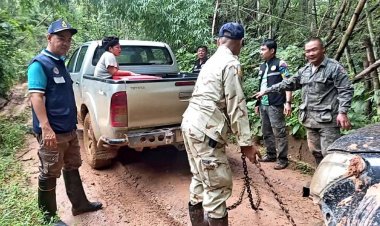 ระทึก!ฝนกระหน่ำ ลมกระโชกแรง โค่นต้นไทรอายุกว่า 100 ปีขวางถนนคณะนอภ.อุ้มผางสัญจรไม่ได้