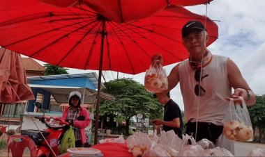 อาชีพเสริมช่วงหน้าฝน คนพะเยาหาเห็ดป่าขายข้างถนนโกยรายได้วันละหลายพันบาท