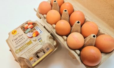 ซีพีเอฟ คัดสรร ไข่ไก่ Cage Free สด สะอาด ปลอดภัย มาตรฐานระดับสากล เพื่อส่งต่อสุขภาพที่ดีให้แก่ผู้บริโภค