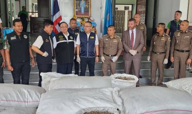 กองปราบรวบขบวนการเกล็ดตัวลิ่นข้ามชาติยึดของกลาง 1,400 กก. มูลค่ากว่า 50 ล้านบาท