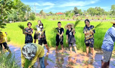 เทศบาลพนาอำนาจเจริญทำเจ๋ง "ทำนาปลอดสารเป็นอาหารให้น้องหนูที่น่ารัก"นับเป็นแบบอย่างที่ดีเยี่ยม