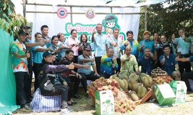 นราธิวาส ชวน ชิม ชม ช้อป แชะทุเรียน"บางนรา 1"สายแร่ทองคำมีดแรกจากต้นในสวนสุคิริน