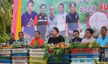 “นิติศักดิ์ ธรรมเพชร” สส.พัทลุง เขต 2 รทสช. ผนึกผู้นำท้องถิ่น ตั้งจุดรับซื้อมังคุดแก้ราคาตกต่ำ