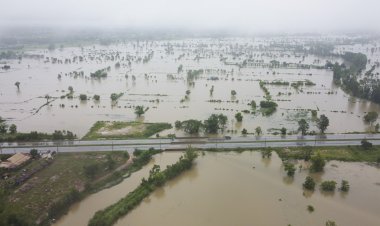 ฝนถล่มทั้งคืน!นครพนมหวั่นน้ำท่วมซ้ำรอบ 2 เผย นาข้าวเสียหายแล้วกว่า 3 หมื่นไร่