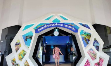 เปิดโลกศูนย์อนุรักษ์พันธุ์เต่าทะเล ฐานทัพเรือสัตหีบ กองทัพเรือ แหล่งท่องเที่ยวอันซีนชลบุรี