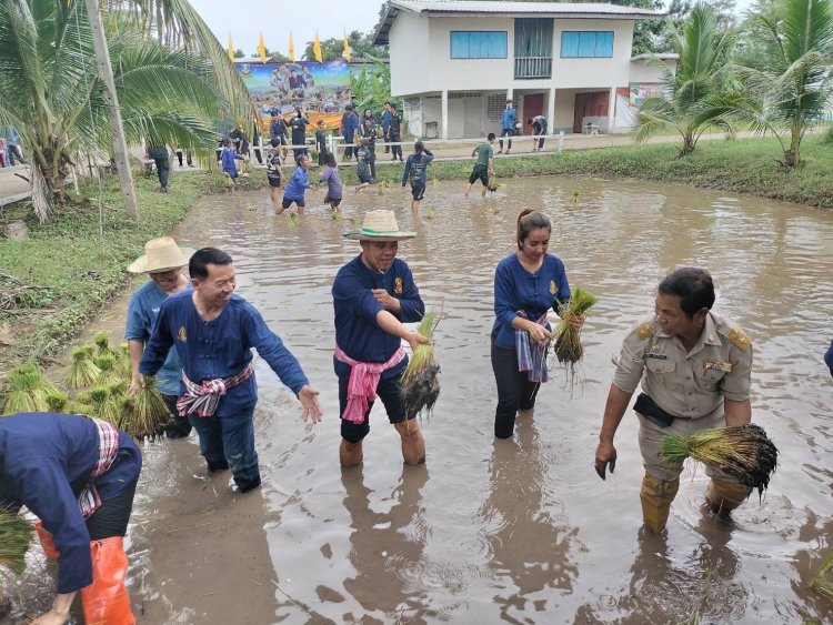 ผวจ.ชัยภูมิ ลงแขกดำนา "ดำวันแม่เกี่ยววันพ่อ" โรงเรียนโนนคูณวิทยาคาร สืบสานปรัชญาพอเพียง (ชมคลิป)