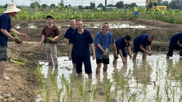 "พล.ต.ท.ไตรรงค์ ผิวพรรณ" ร่วมกับมูลนิธิพระราหู ทำกิจกรรม"ปลูกข้าววันแม่ เกี่ยวข้าววันพ่อ"