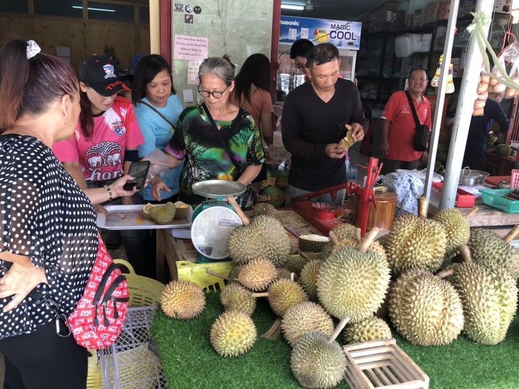 มาเป็นรถบัสนักท่องเที่ยวชาวมาเลเซียและสิงคโปร์ เข้าเบตงช่วงสุดสัปดาห์แห่กินทุเรียนเบตง กันอย่างคึกคัก