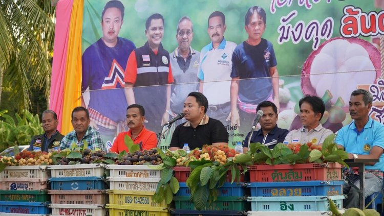 “นิติศักดิ์ ธรรมเพชร” สส.พัทลุง เขต 2 รทสช. ผนึกผู้นำท้องถิ่น ตั้งจุดรับซื้อมังคุดแก้ราคาตกต่ำ