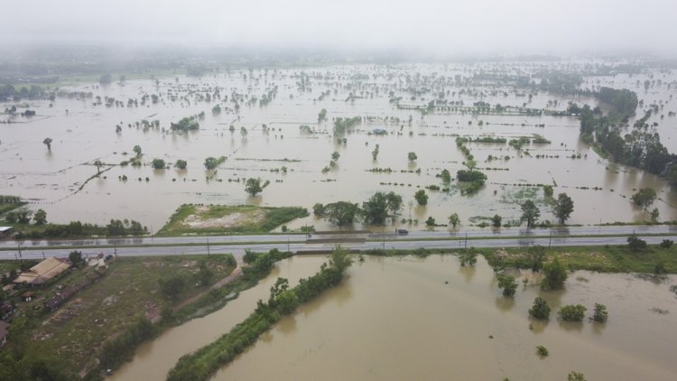 ฝนถล่มทั้งคืน!นครพนมหวั่นน้ำท่วมซ้ำรอบ 2 เผย นาข้าวเสียหายแล้วกว่า 3 หมื่นไร่