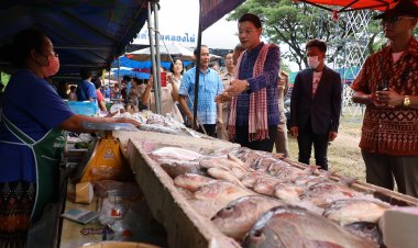 เริ่มแล้ว!เทศกาลกินปลาลำตะคอง–คลองไผ่  ชวน นทท.ช้อป ชิม เมนูปลาสดใหม่จากธรรมชาติ