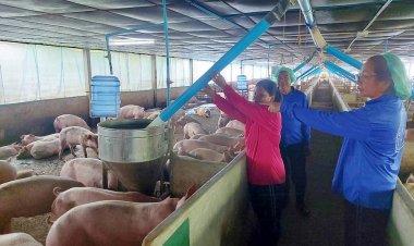 คอนแทรคฟาร์มเลี้ยงหมู พลิกชีวิต 20 ปี “บุญเกิดฟาร์ม”บทพิสูจน์ ซีพีเอฟสร้างอาชีพมั่นคง หนุนเกษตรยั่งยืน