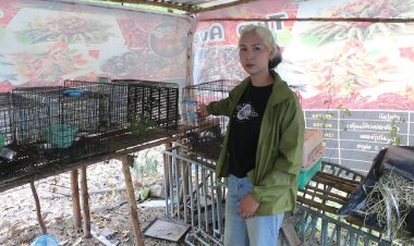 หนุ่มขอนแก่นสะเทือนใจ!กระต่ายเลี้ยงไว้ถูกสุนัขเพื่อนบ้านพังกรงรุมขย้ำตายยกคอก