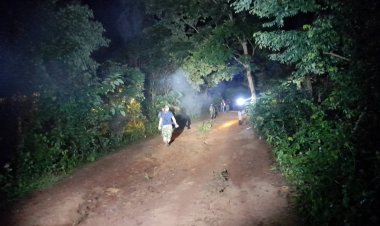 อุทยานฯทับลาน แจ้ง แก้ปัญหาโขลงช้างป่ากว่า 40 ตัว ผลักดันคืนสู่ผืนป่าแล้ว