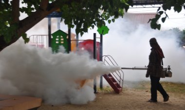 น่าห่วง!ไข้เลือดออก-โรคมือเท้าปากระบาดโคราช 7 เดือนป่วยพุ่งกว่า 1.7 พันรายดับแล้ว 1