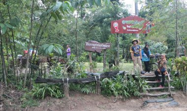 กางเต้นส์ปักหมุด" รีสอร์ทประชารัฐบ้านบาลา"เล่นน้ำชมธรรมชาติ อาหารพื้นบ้านอร่อย ปลอดภัย ล้านเปอร์เซ็นต์ @ นราธิวาส