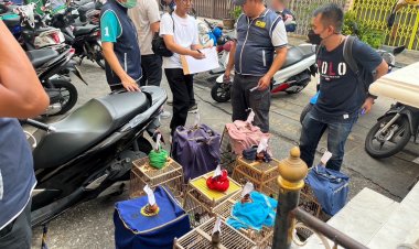 รวบพ่อค้านกออนไลน์ ลงทุนเปิดห้องเช่าเป็นแหล่งค้านก ส่งกลิ่นเหม็นรบกวนชาวบ้าน