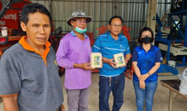 ข้าวสารแพงเกษตรกรโคราชสบโอกาสแห่นำข้าวเปลือกสีข้าวบรรจุถุงขายพ่อค้าคนกลางกก.ละ 30 บาท