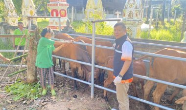 ไฮเทค!ปศุสัตว์จังหวัดอำนาจเจริญเปิด e-movement เคลื่อนย้ายสัตว์ข้ามจังหวัดสะดวกรวดเร็ว