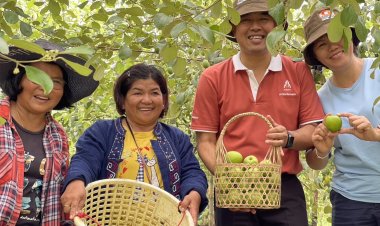 นายอำเภอเร่งผลักดัน"วังน้ำเขียวเมืองผลไม้"กระตุ้นนทท.ชิม ช้อปผลไม้ สูดโอโซนอากาศบริสุทธิ์ปลายฝนต้นหนาว