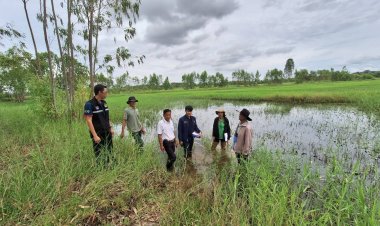 ชาวนาอำนาจเจริญระทมทุกข์!นาข้าวจมน้ำท่วมกว่า 1 หมื่นไร่-เกษตรจังหวัดยัน 4-5 วันน้ำลดสู่ปกติหากฝนไม่ตกหนัก