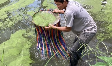 เกษตรกรโคราชเลี้ยงไข่ผำ พืชจิ๋วมหัศจรรย์คู่ขนานทำเกษตรผสมผสาน 14 วัน ตักขาย สร้างรายได้ 2 หมื่นต่อเดือน