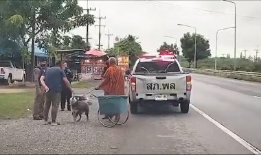 ตำรวจจับกุม"พระหนูที"นำสุนัข ไซบีเรียน ใส่รถลากออกรับทำบุญบริจาคข้อหาทารุณกรรมสัตว์ (ชมคลิป)