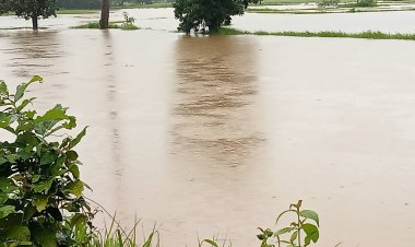 อำนาจเจริญฝนหยุดตก แต่น้ำยังท่วมข้าวกว่า 1 หมื่นไร่-เจ้าหน้าที่ระดมกำลังช่วยเหลือเหยื่ออุทกภัย