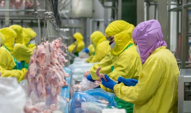 เนื้อไก่แช่แข็ง-แปรรู ชูโรง พาณิชย์เผยยอดส่งออกสินค้าปศุสัตว์ไทย 7 เดือนแรกเติบโตต่อเนื่อง