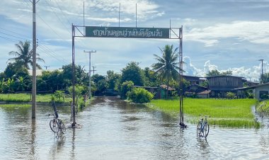 จนท.อำนาจฯระดมช่วยเหลือชาวบ้านดอนว่านจมบาดาล-นาข้าวท่วมกว่า 2 หมื่นไร่ (ชมคลิป)