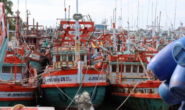 ชาวประมงเดือดร้อนหนักร้องรัฐบาลใหม่ปลดล็อกบทลงโทษรุนแรงเกินเหตุ