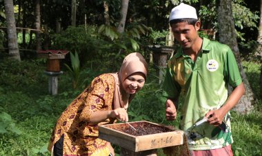 หนุ่มนราธิวาสเลี้ยงผึ้งชันโรงสวนหลังบ้านสร้างรายได้หลักแสนต่อปี