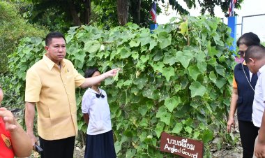 ผู้ว่าฯชลบุรีลุยสร้างความมั่นคงทางด้านอาหาร"บ้านนี้มีรัก ปลูกผักกินเอง"