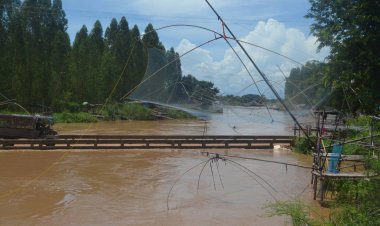 ชาวบ้านยิ้มปลาในบึงละหานชุกชุมแห่จับ“ปลาอีแป่ง”ขายมีรายได้วันละกว่าพันบาท