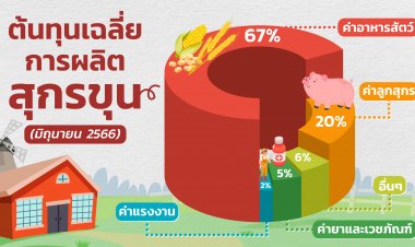 เปิดสัดส่วนต้นทุนผลิตหมูไทย พณ.ไม่ควรกดราคาคนเลี้ยง