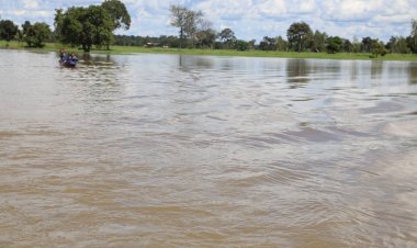 เกษตรกรอำนาจเจริญระทมน้ำลดแต่นาข้าวเน่าเสียหายขยายวงกว้าง