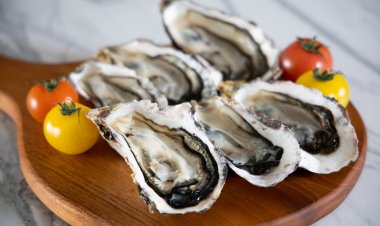 หีบสมบัติสารอาหารแห่งท้องทะเล ‘หอยนางรม’