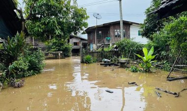 ฝนถล่มหลายอำเภอเชียงใหม่อ่วม ดินทรุดตัว ถนนถูกตัดขาด