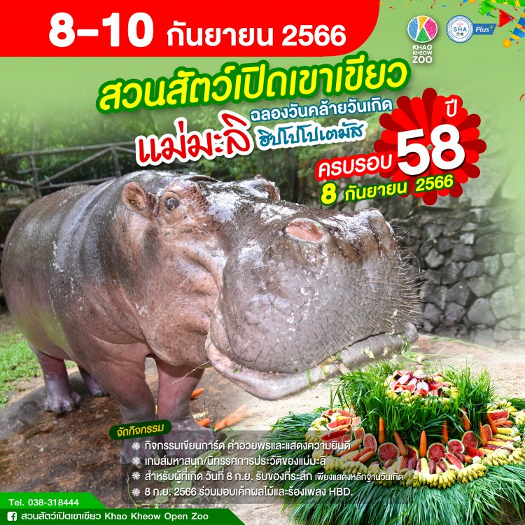 สวนสัตว์เปิดเขาเขียว เตรียมฉลองครบรอบวันเกิด 58 ปี “แม่มะลิ” ฮิปโปฯ ขวัญใจคนไทยอายุยืนที่สุด 8-10 ก.ย.นี้