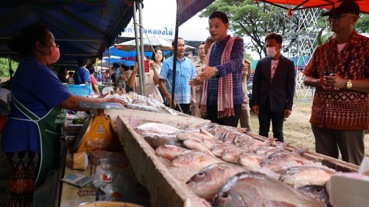 เริ่มแล้ว!เทศกาลกินปลาลำตะคอง–คลองไผ่ ชวน นทท.ช้อป ชิม เมนูปลาสดใหม่จากธรรมชาติ