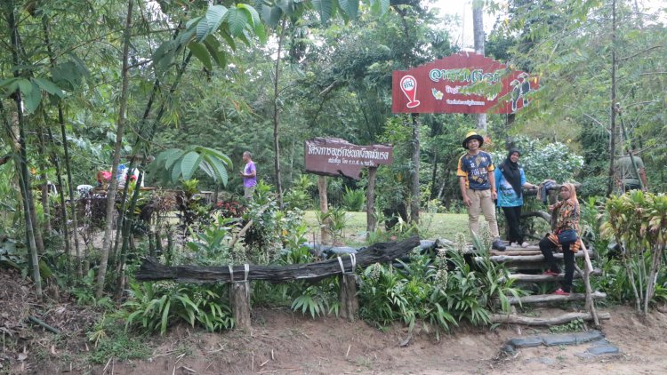 กางเต้นส์ปักหมุด" รีสอร์ทประชารัฐบ้านบาลา"เล่นน้ำชมธรรมชาติ อาหารพื้นบ้านอร่อย ปลอดภัย ล้านเปอร์เซ็นต์ @ นราธิวาส