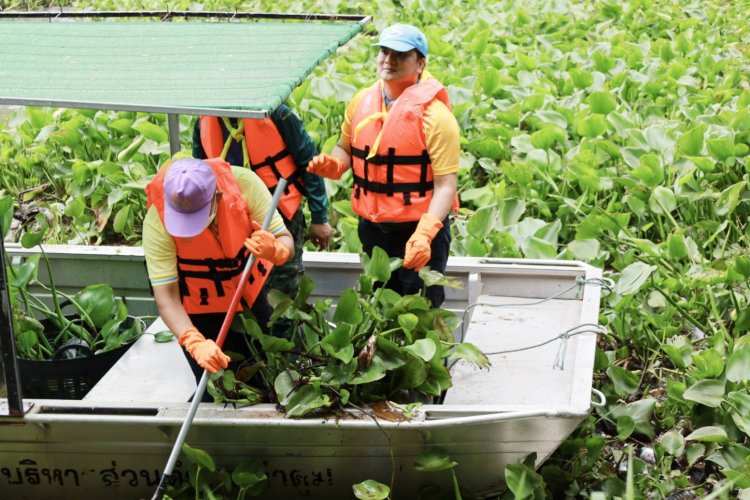 ทหาร อปท.ร่วม จิตอาสาพัฒนา “ปราจีนบุรี เมืองสะอาด”กำจัดวัชพืชผักตบชวา