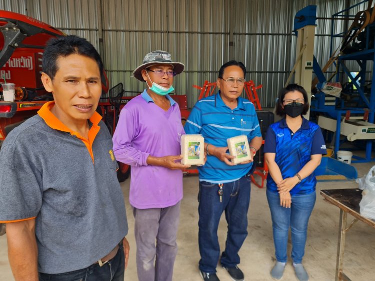 ข้าวสารแพงเกษตรกรโคราชสบโอกาสแห่นำข้าวเปลือกสีข้าวบรรจุถุงขายพ่อค้าคนกลางกก.ละ 30 บาท