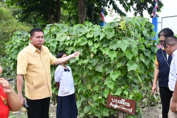 ผู้ว่าฯชลบุรีลุยสร้างความมั่นคงทางด้านอาหาร"บ้านนี้มีรัก ปลูกผักกินเอง"